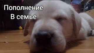 Пополнение в семье!