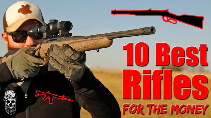 10 Best Rifles For The Money