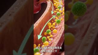 Qua trình hình thành nước tiểu #dsngocminh #meovat