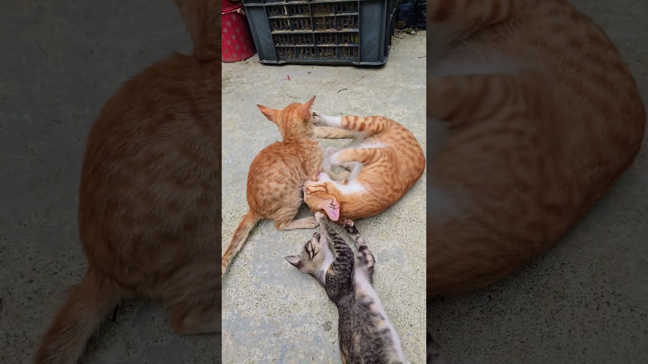 One bite mine, o mne biye yours 