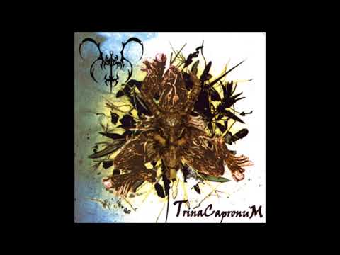 Astimi — Astimi- Holy Abortion
