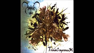 Astimi - Holy Abortion