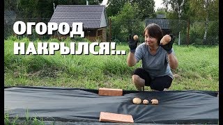 Сработает ли ЛЕНИВЫЙ СПОСОБ БОРЬБЫ С СОРНЯКАМИ?..