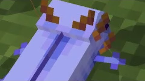 How To Summon a Blue Axolotl In MCPE! (Using Commands)