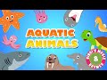 Aquatic Animals | Rhymes for kids | Educational Songs for children | Bindi&#39;s Music &amp; Rhymes