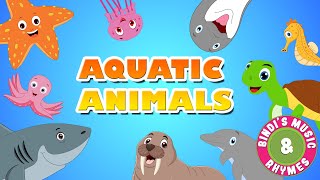 Aquatic Animals | Rhymes for kids | Educational Songs for children | Bindi's Music & Rhymes