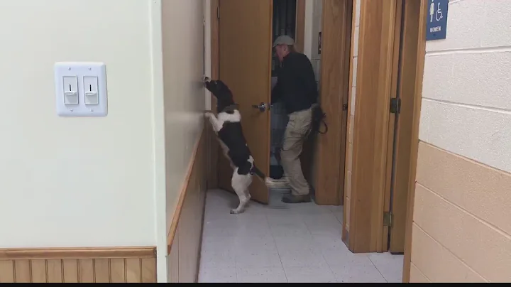 K9 officers sniff out problems during monthly drug training