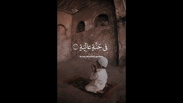 سورة الغاشية/#عبدالرحمن_مسعد #quran #قران_كريم #allah