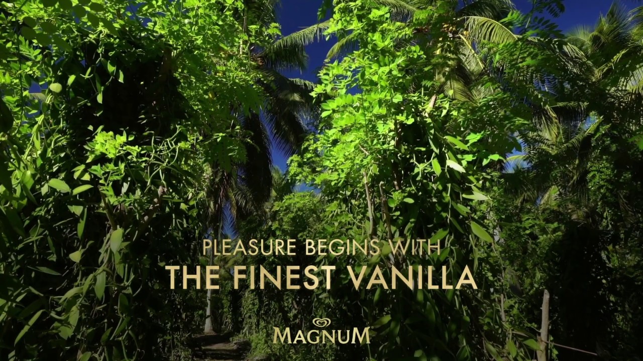 Magnum - Sustainably sourced Vanilla from Madagascar