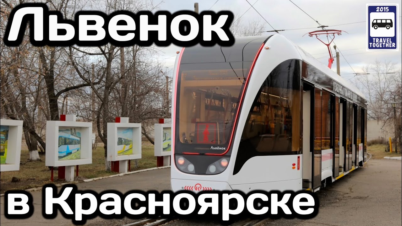 🇷🇺Новые трамваи «Львёнок» прибыли в Красноярск! | New «Lion's» trams have arrived in Krasnoyarsk!