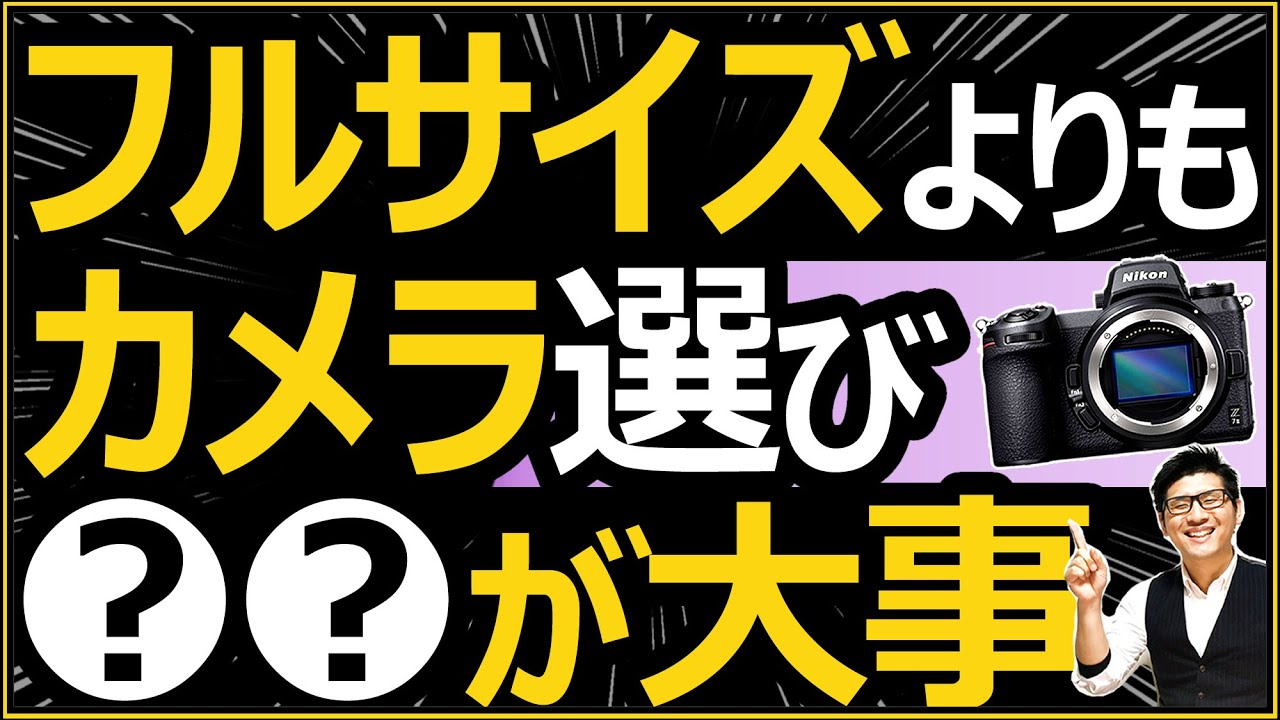 ミラーレス一眼カメラの選び方 【APS-C ニコンZ30とフルサイズのZ6IIで