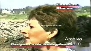 Informe tosquera ubicada en la localidad de Billinghurst - Buenos Aires 1993