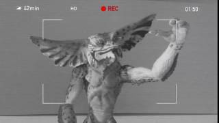 Celebrity Stop Motion test 2 Net Worth