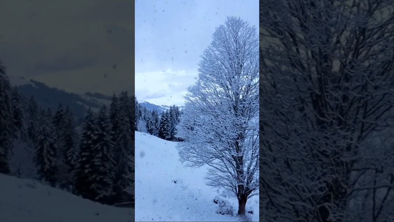 Snowflakes by Lars Eskel #snow #snowflakes #shorts auf YouTube ansehen Snowflakes by Lars Eskel #snow #snowflakes #shorts auf YouTube ansehen
