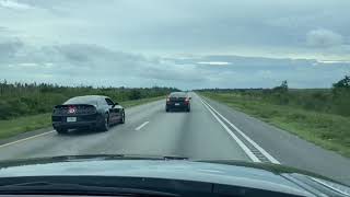2011 Shelby GT500 2.3 Trinity vs SRT-4 Big Turbo / Bonus Clips