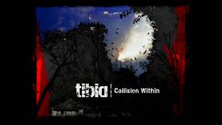Tibia - The Train