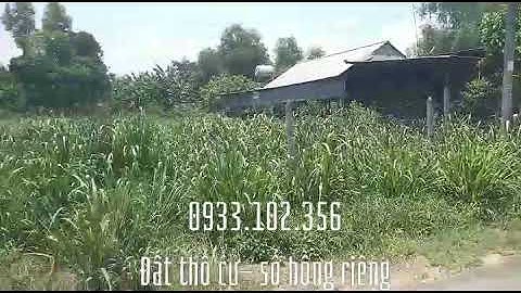 Bán lô đất Củ Chi- Xã Phạm Văn Cội