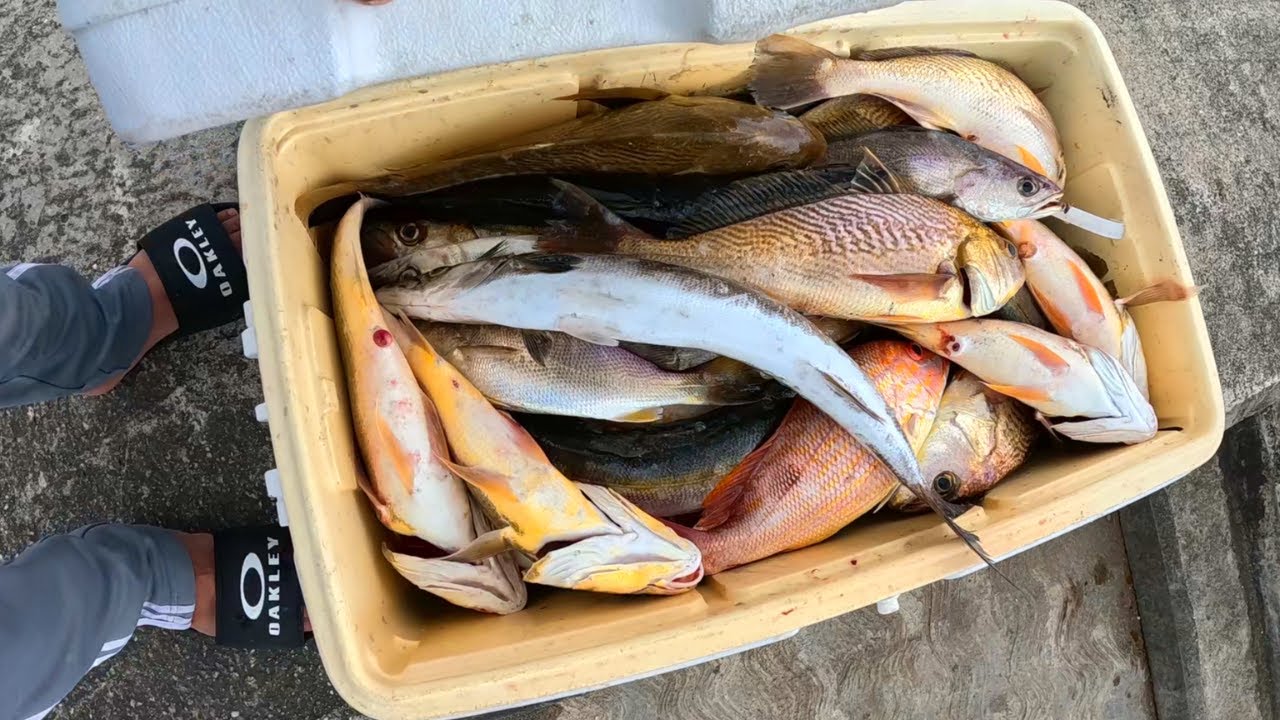 FULLING A COOLER WITH FISH! Fishing The Shallows Of The Gulf - Handlines & Jigs! Trinidad, Caribbean