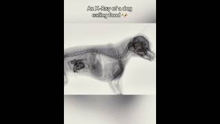 Celebrity Things Humans Were Never Meant To See😳 Net Worth