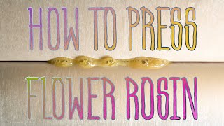 How to press Flower Rosin!