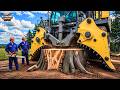 101 Extreme Dangerous Monster Stump Removal Excavator | Amazing Fastest Wood Chipper Machine