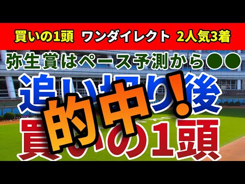 弥生賞ディープインパクト記念2023 追い切り後【買いの1頭】公開！10頭立ながら半数が逃げの経験アリ！ペースを味方に優先出走権を獲得する馬は？