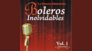 Tu Voz
