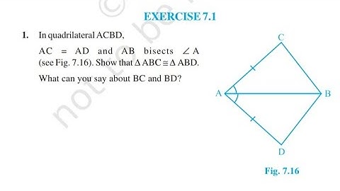 Exercise 7.1 class 9 maths