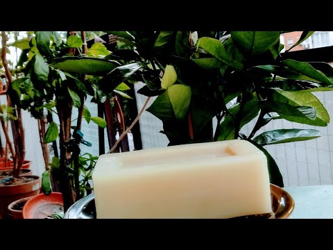 Video: Jabón De Tabaco: Instrucciones De Uso Contra Plagas Y Enfermedades. ¿Cómo Se Utiliza En Horticultura Para Coles, Pepinos Y Otros Cultivos?