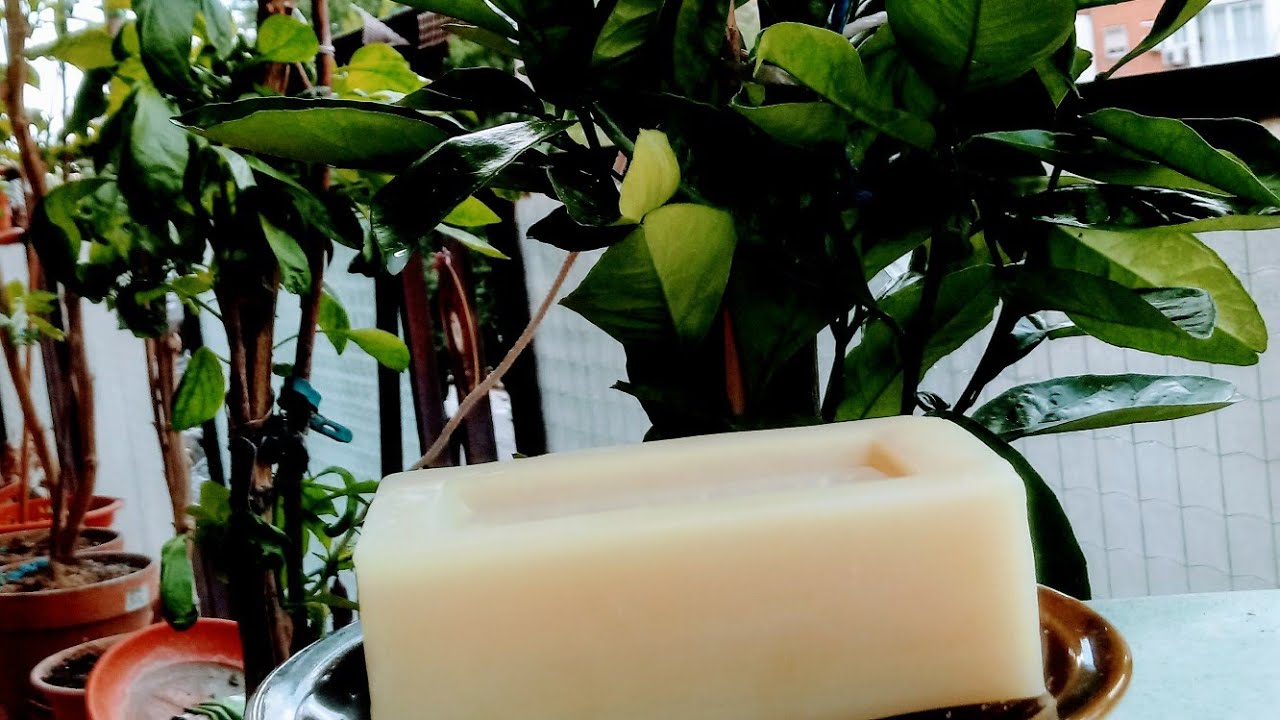 jabon en las plantas