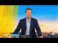 Pauline Hanson sparks mass outrage over comments on Indigenous Australians | 9 News Australia