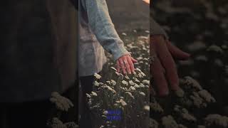 Derin Kendi Gölgesinde Kalanlara 🖤