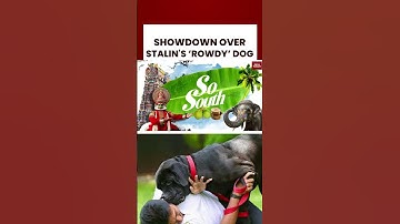 BJP vs DMK Showdown Over Stalin’s ‘Rowdy’ Dog; Political Firestorm Over Tamil Nadu Law & Drug Crisis