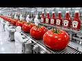 Inside The Secret Behind Millions of Bottles of Ketchup Produced Every Day!(Full Process)