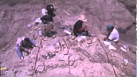 Wilderness Act: Features