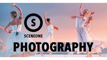 SceneOne | Photography Theme for WordPress | Themeforest Website Templates and Themes