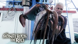 Download Lagu Incluso Jeremy Wade Le Teme Al Calamar De Humboldt | Monstruos de Río MP3 Download Lagu Incluso Jeremy Wade Le Teme Al Calamar De Humboldt | Monstruos de Río MP3
