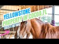 Horse Farm property in Cocoa, Florida. 30.63 acres