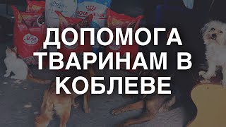 ✔️Добрі справи робити приємно! Команда Koblevo Travel допомогла покинутим тваринам у Коблеве.