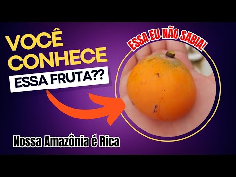 FRUTA DA AMAZÔNIA - VOCÊ CONHECE ESSA FRUTA? - ESSA EU NÃO SABIA!!