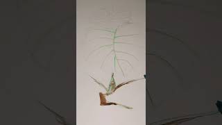Немного цвета, света и капель- монстера оживает на бумаге настроение #painting #artist #botanical