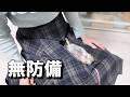 【警戒心０】ハーネスを装着する時もされるがままなリス