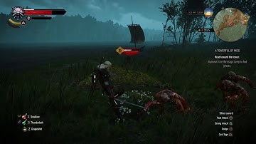 The Witcher 3: Wild Hunt Rotfiend