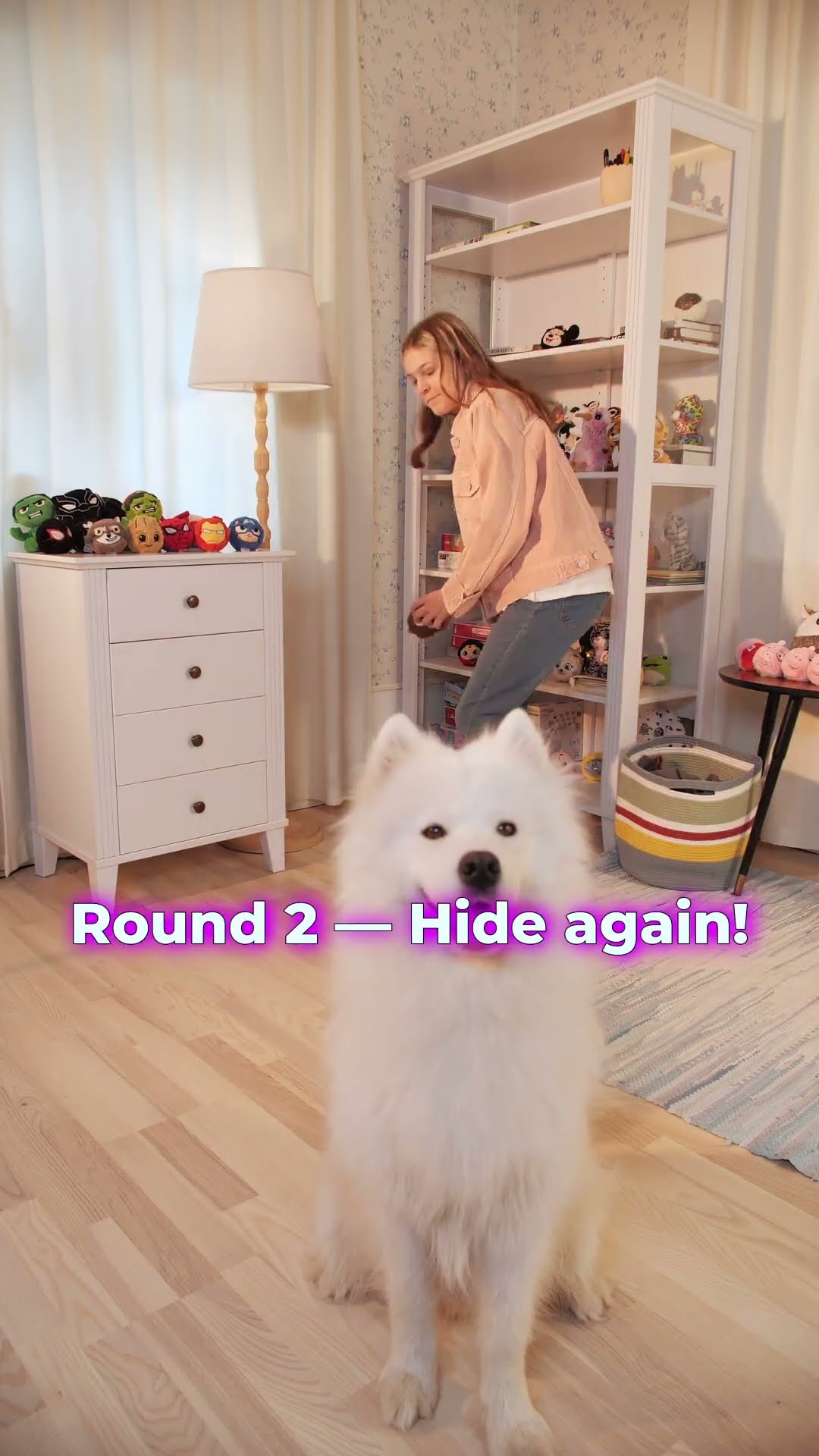 DOG and Beanie Bouncers - Lets gooo #ty #beaniebouncers