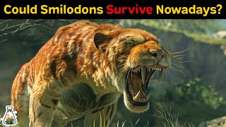 Could Smilodons Survive Nowadays?