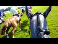 Kevin nabet  edward dargent   course grand steeple chase de paris 2018