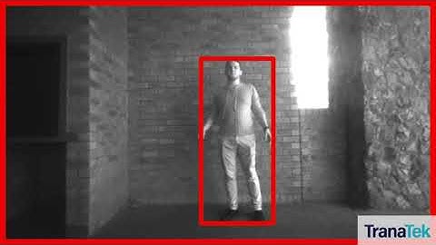 Dotnetix - SafEye Nano Pedestrian Detection Demonstration