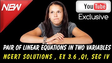 Ncert Solutions For class 10 maths ,Linear Equations in two variable ,Ex 3.6 ,Q1 sec IV