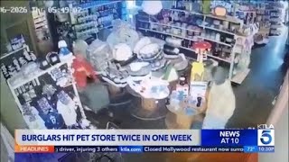 Burglars hit Silver Lake pet store twice in one week