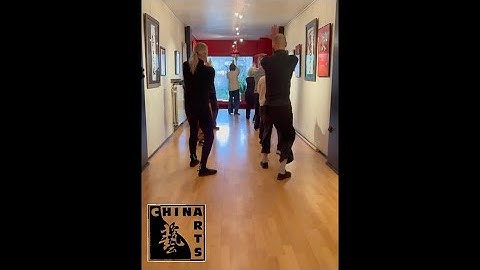 Li Ziming Baguazhang